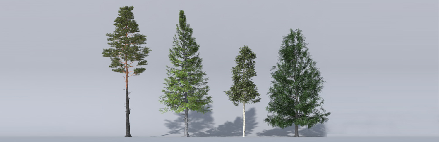 Archiradar trees collection 14